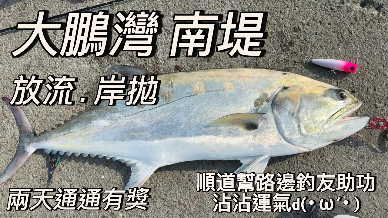 大鵬灣南堤 兩天都有飛扁靠 順道幫釣友搭魚d (･&omega;&acute;･ )  第一次體驗岸拋就大成功~~ #岸拋路亞#活魚放流#大鵬灣#飛扁