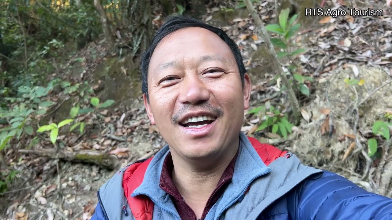 Fruits plantation 