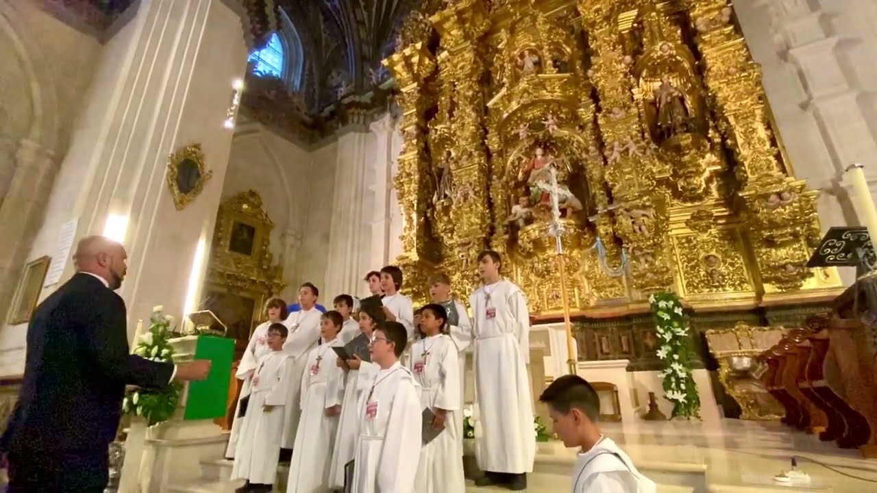 Feliz Navidad Pueri Cantores Catedral Burgos Hallelujah Leonard Cohen Encuentro  170 voces sublimes