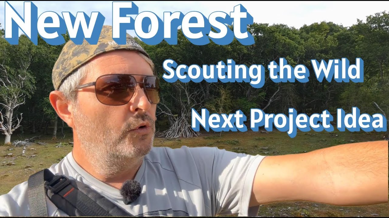 New Forest Camping and Drone