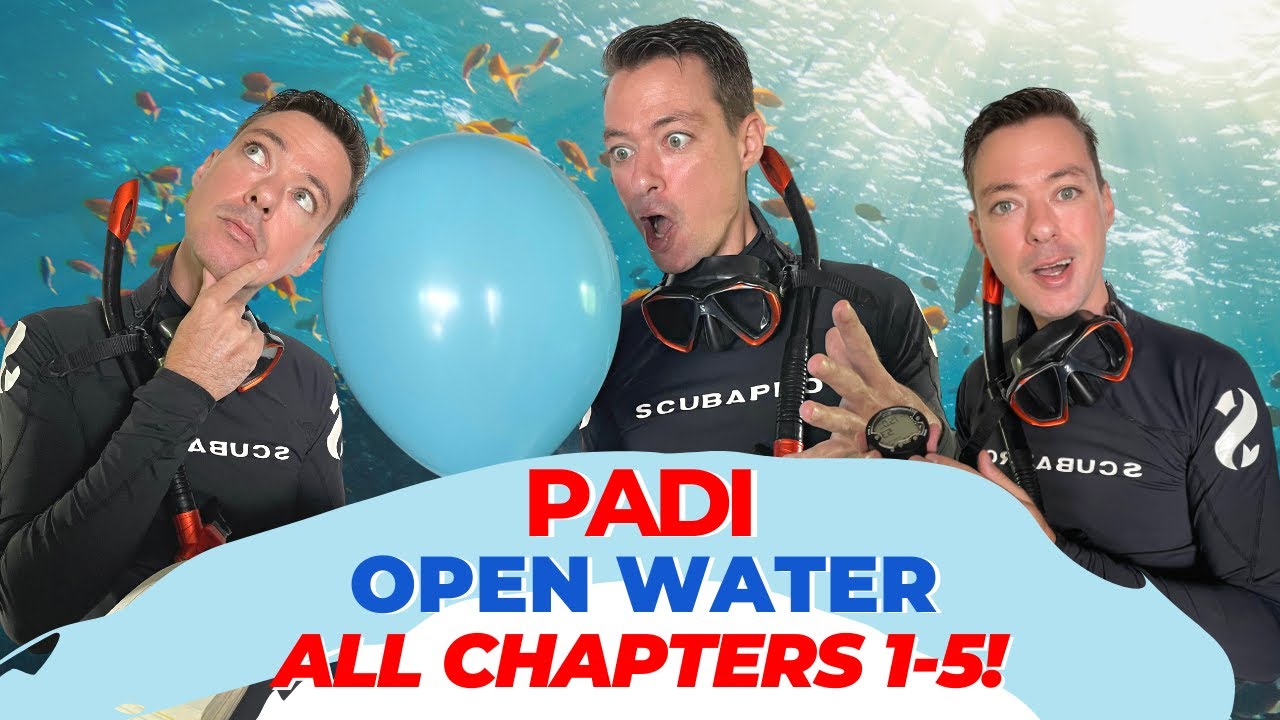 Освойте руководство PADI Open Water Diver: Полные ответы и советы по дайвингу для начинающих