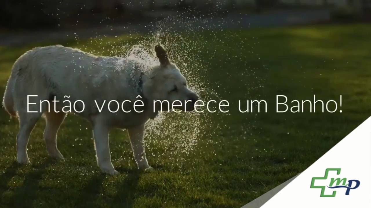 J&aacute; conhece o CMVE