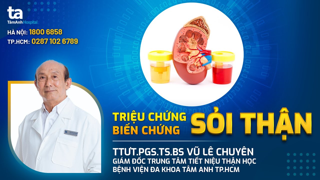 Những triệu chứng sỏi thận thường gặp và cách nhận biết   |  TTƯT.PGS.TS Vũ Lê Chuyên | TNNH Tâm Anh