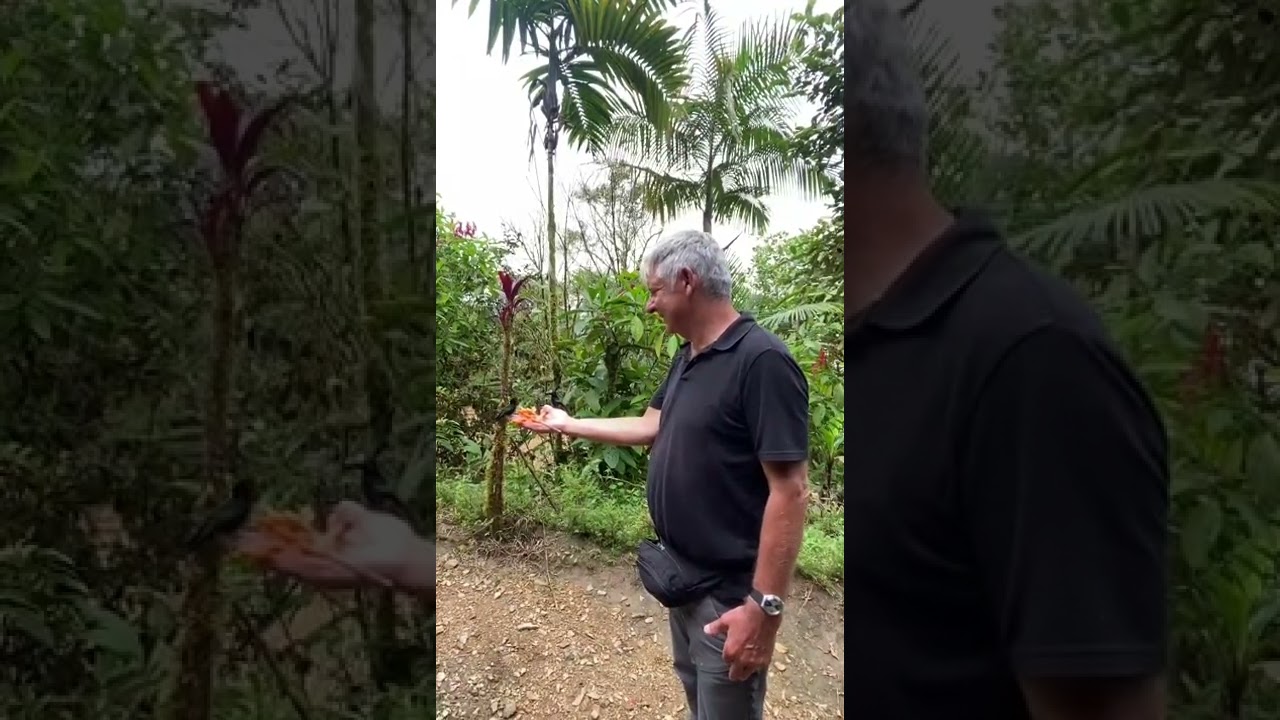 Nos voyageurs dans une r&eacute;serve ornithologique de la r&eacute;gion de Mindo - #equateur