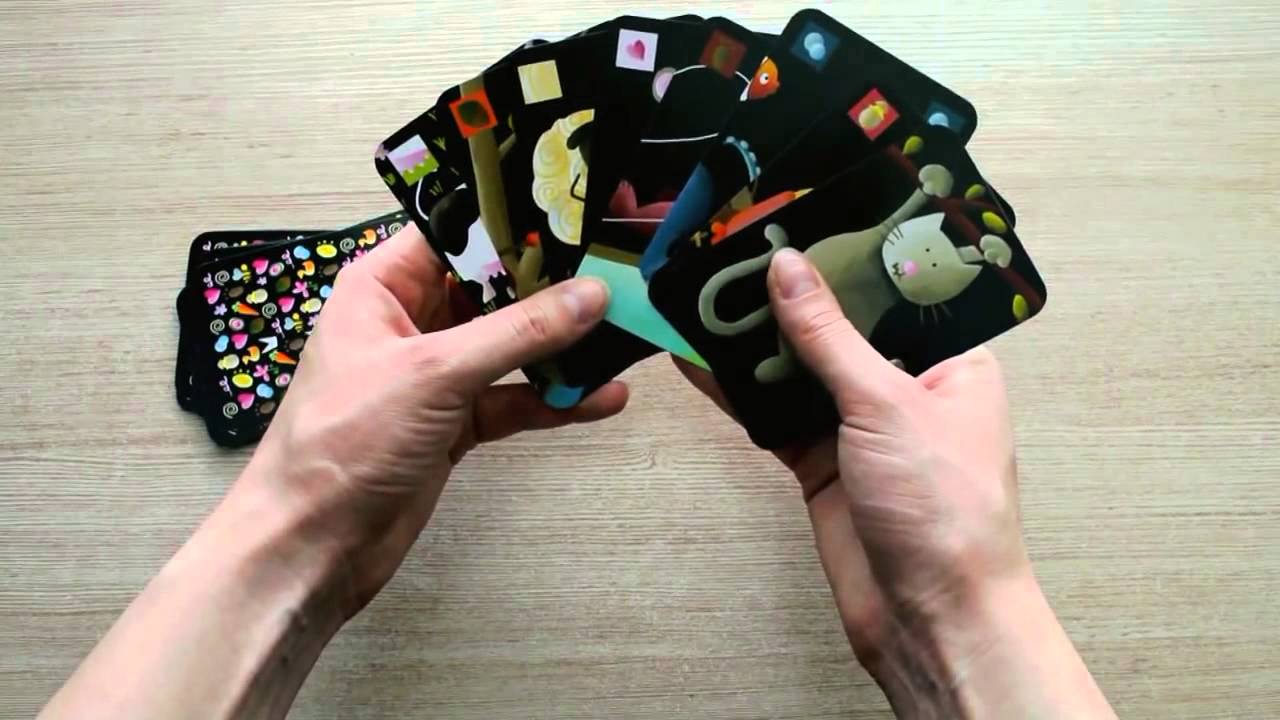 Игра Мистигри Djeco DJ05105