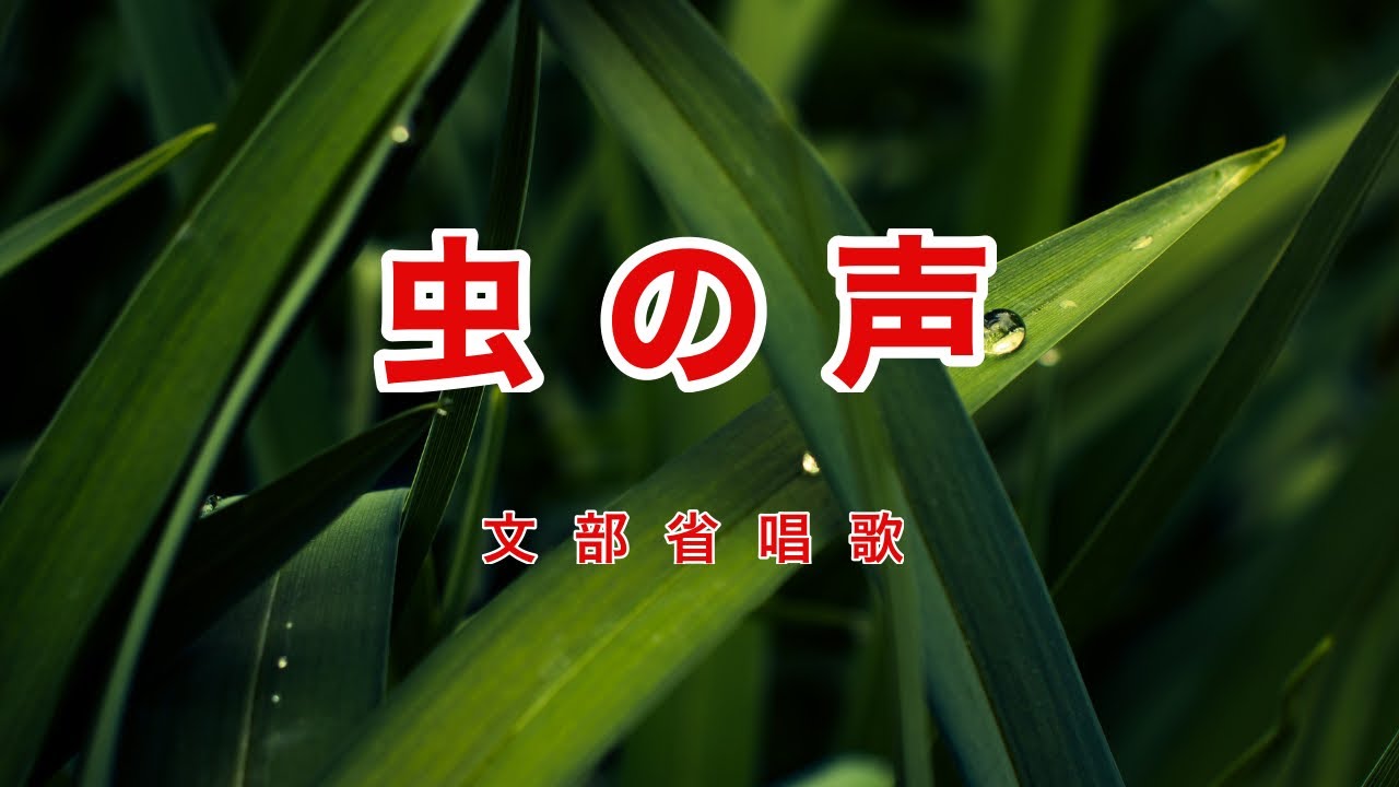 虫の声｜歌詞付き｜日本の歌百選｜あれ松虫が 鳴いている