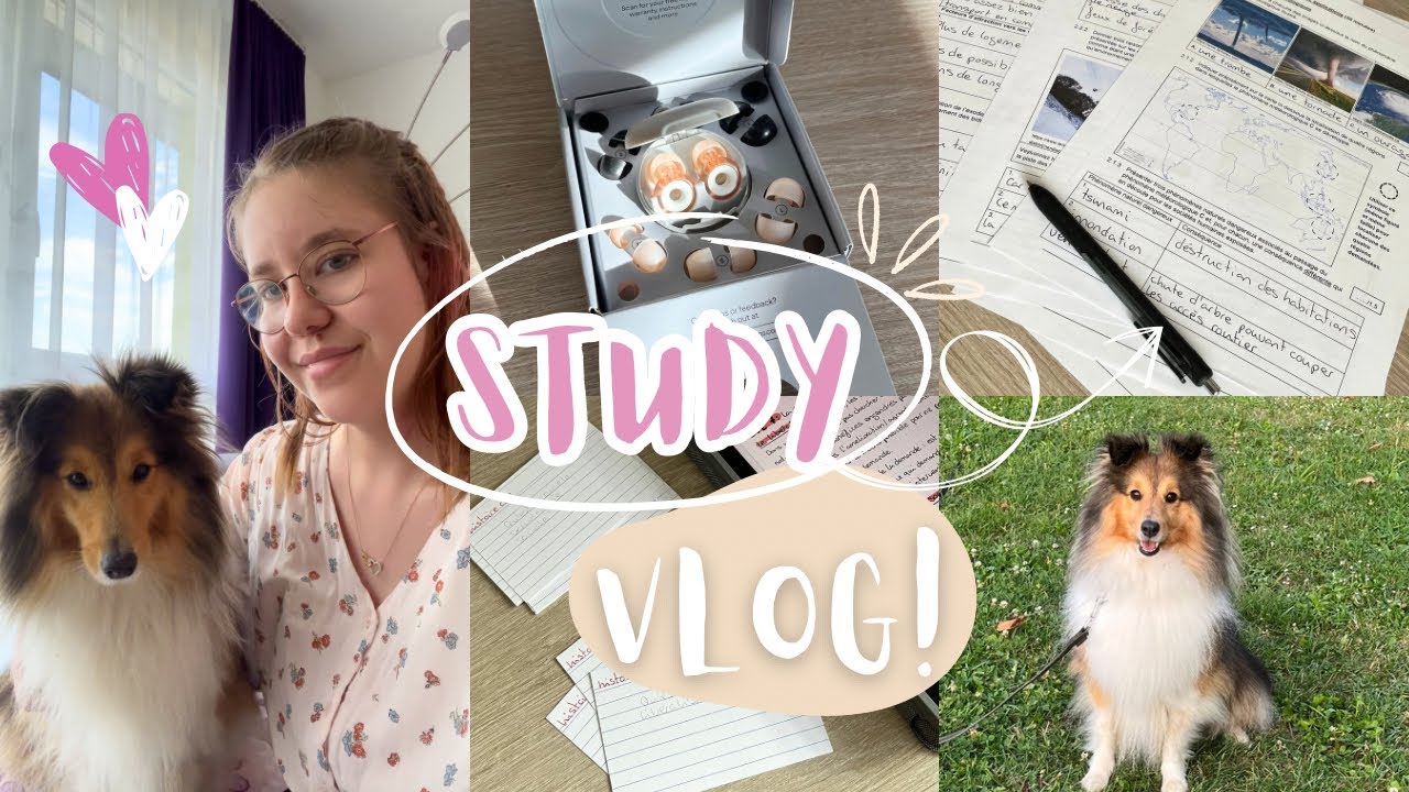 SCHOOL week in my life | last weeks before break, preparing for my exams, lot's of studying !
