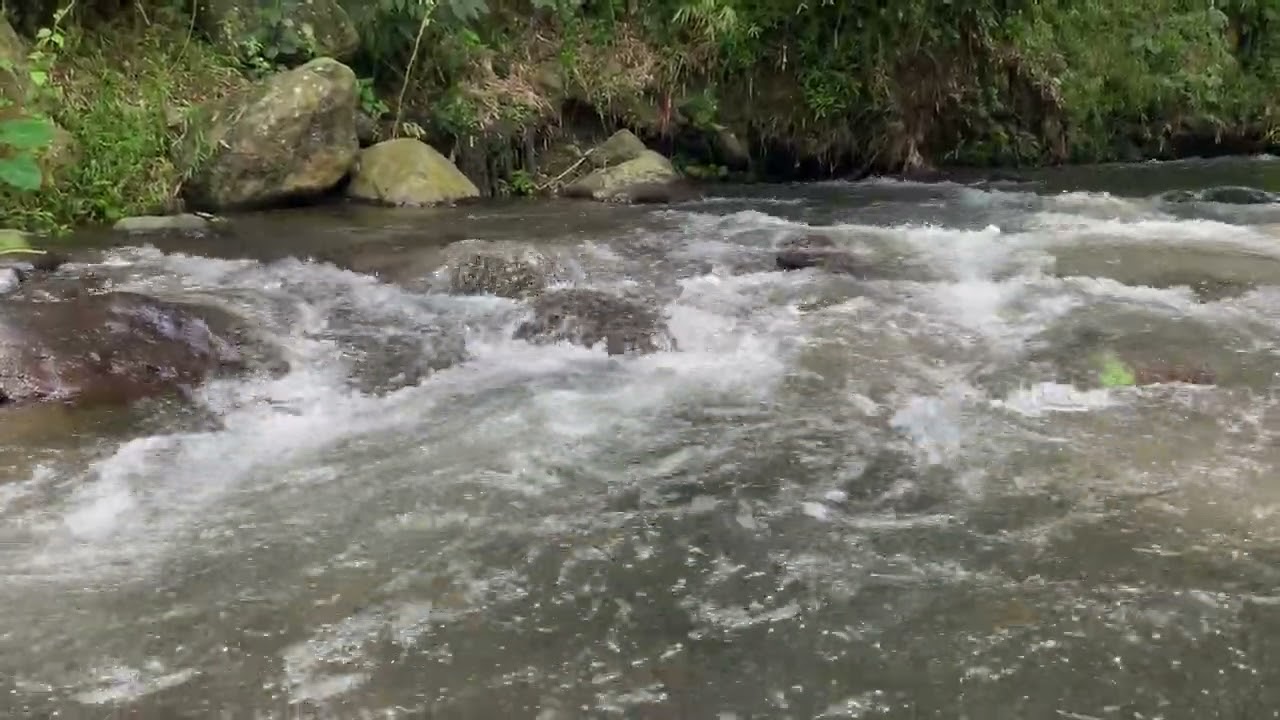 Tidur Nyenyak dengan Suara Sungai ASMR 25 #sungai #relaksasi #asmr 