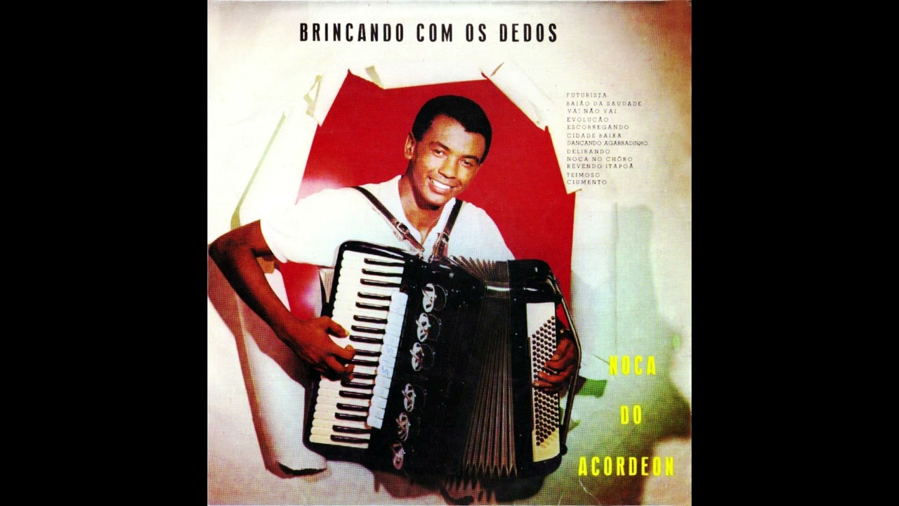Noca do acordeon - Vai não vai
