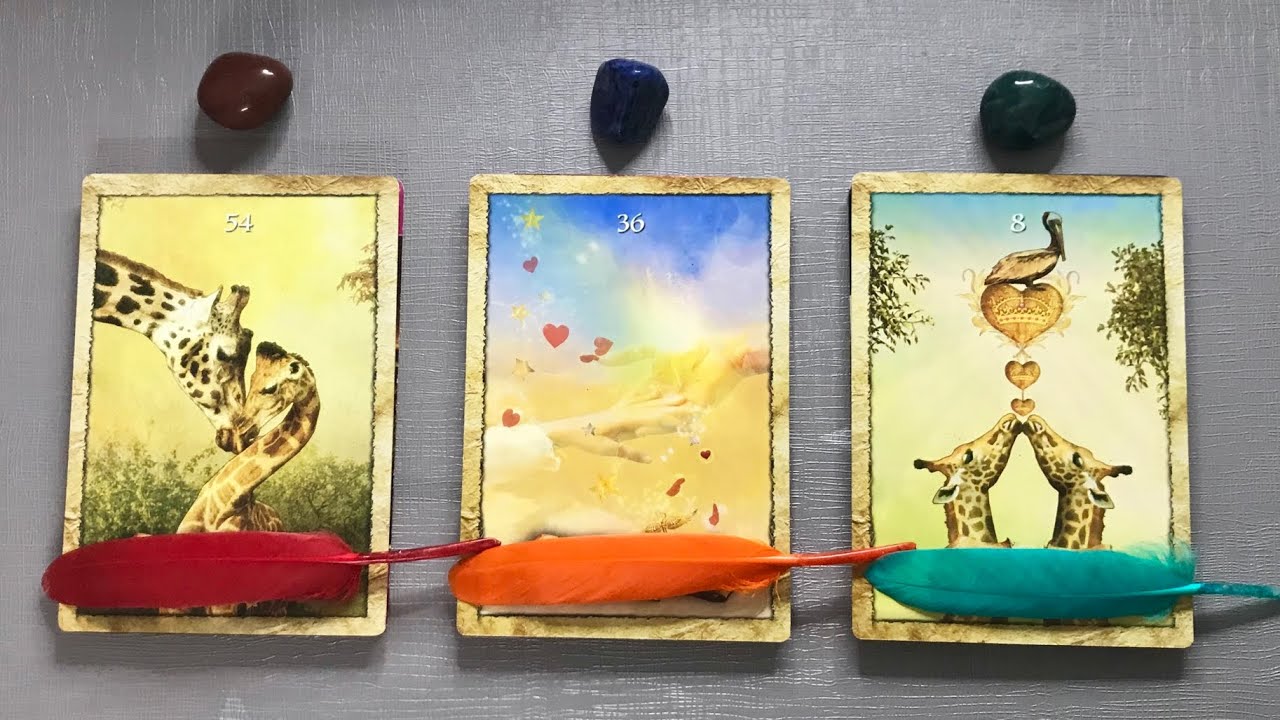 💌 Pick a Card | 💗 Who Will You Marry? When & How will you meet? Detailed 👪 💫| Teacup Tarot ☕️