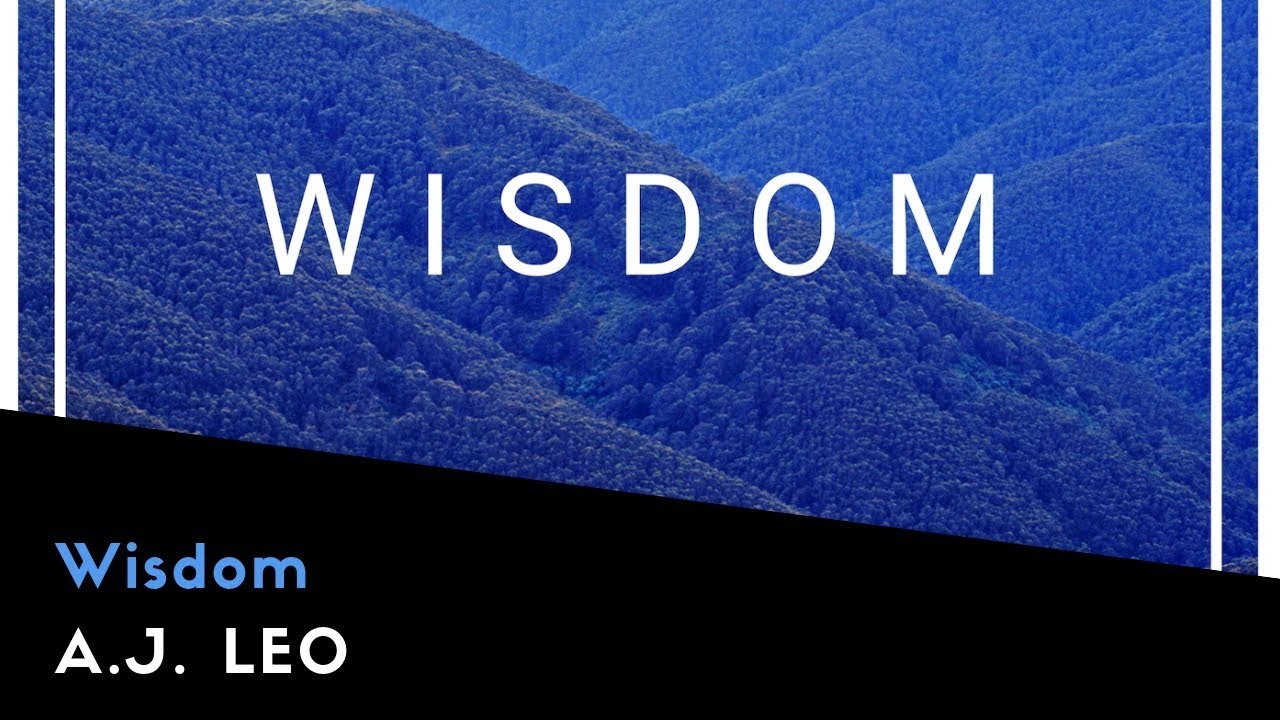 A.J. Leo - Wisdom (Original Mix)