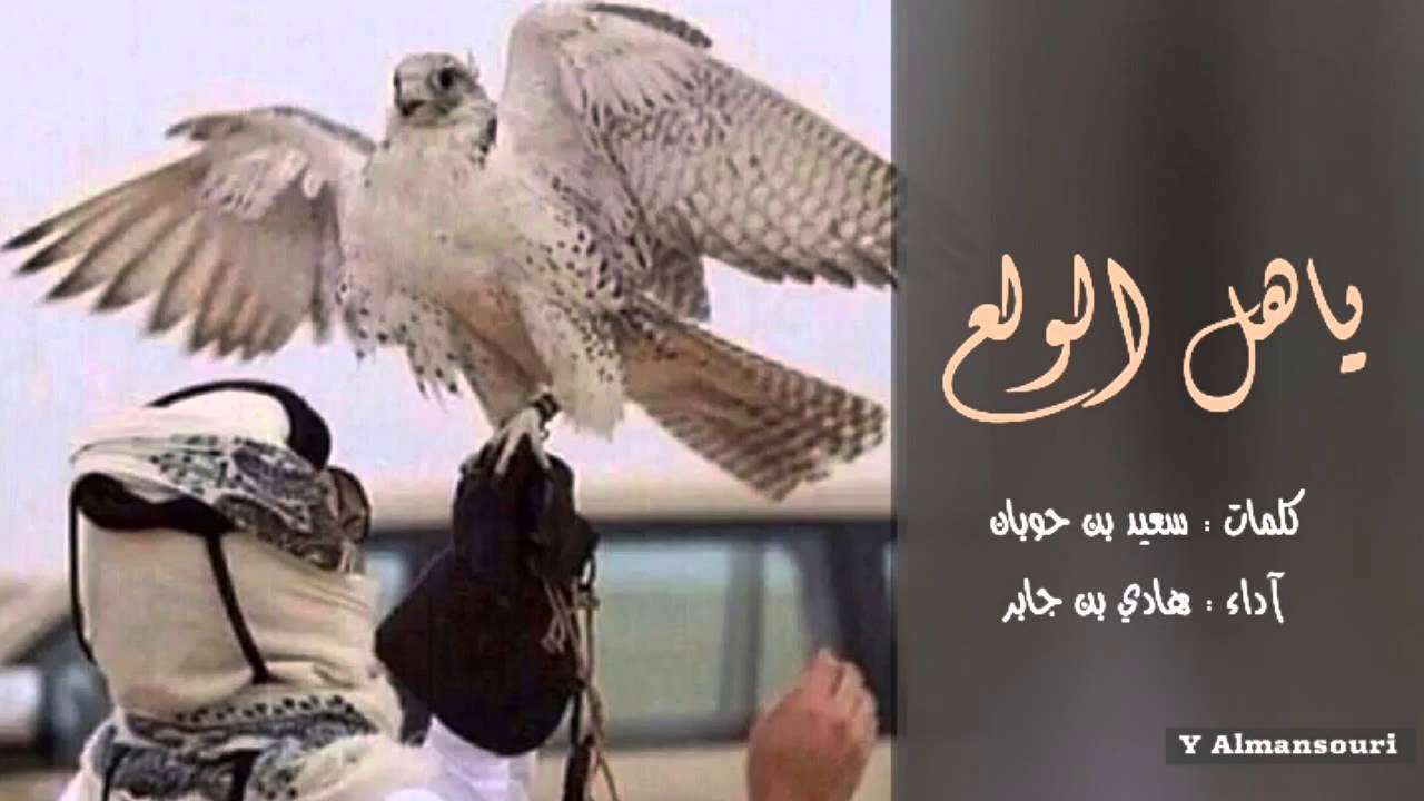 شيلة 