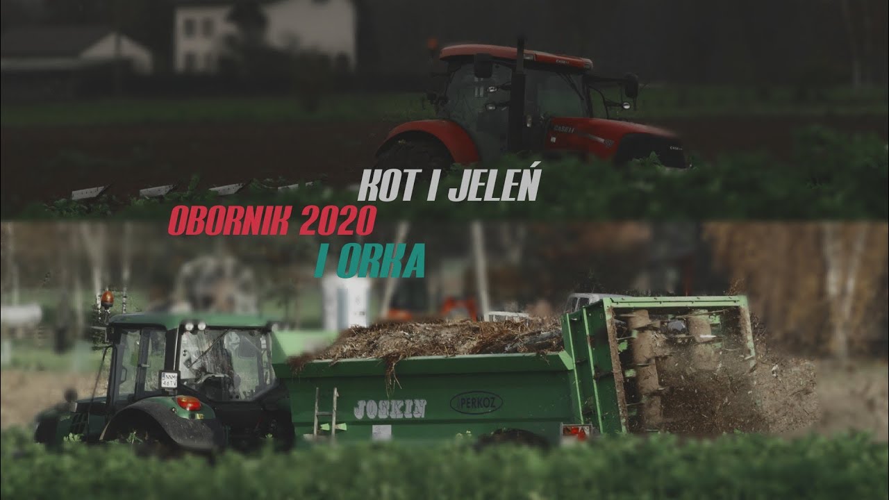 🇵🇱ORKA Zimowa i OBORNIK 2020 z POMPĄ🤪 | KOT I JELEŃ  w Akcji😱 | ✔️Hektarów Ubywa✔️ | 🌾JESIEŃ🌾 2020🇵🇱