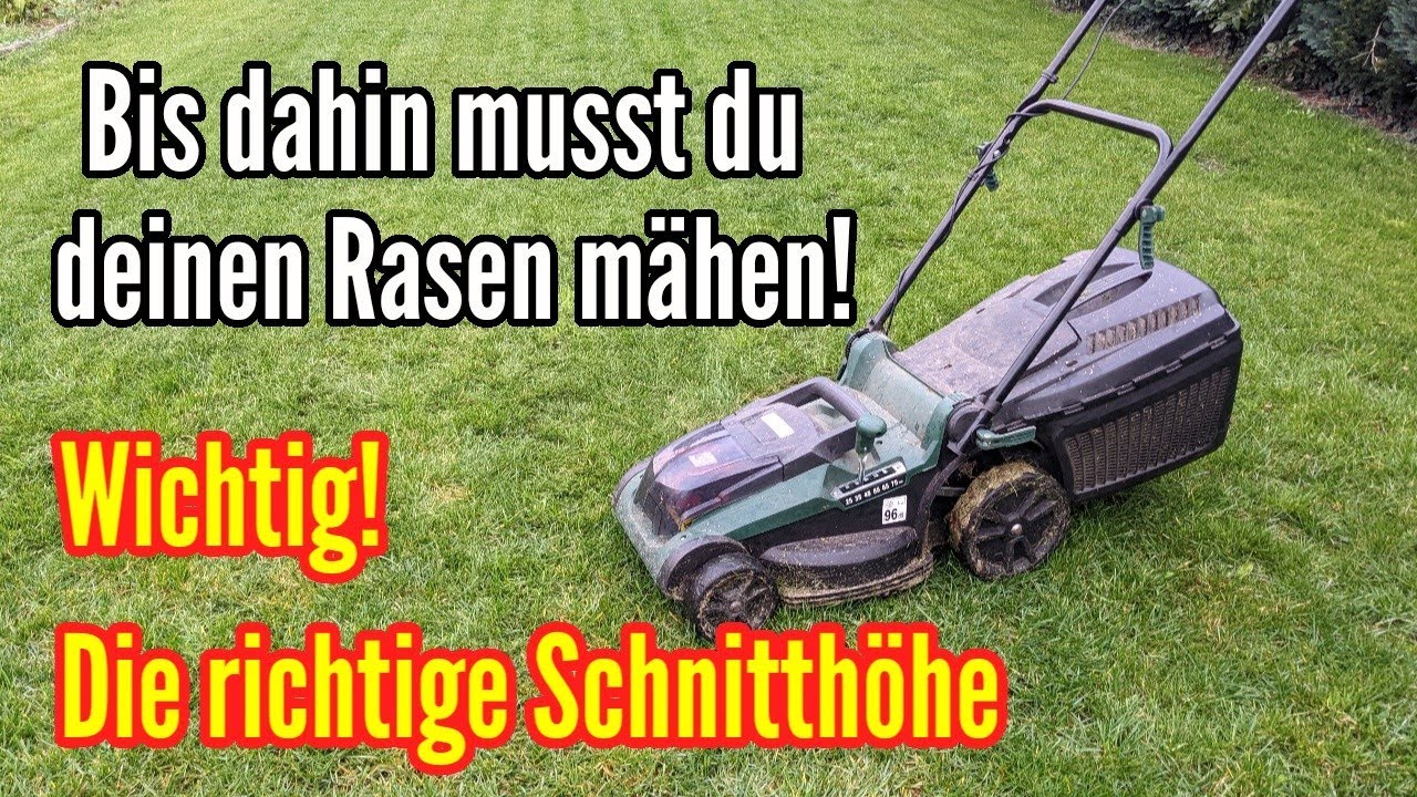 Der letzte Rasenschnitt vorm Winter! Wann? Und worauf muss ich dabei besonders achten?