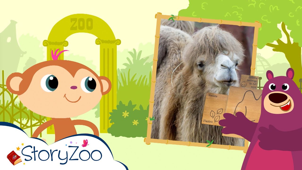 StoryZoo | Op avontuur in de Dierentuin - Kameel | Educatieve video's voor kinderen | #storyzoo