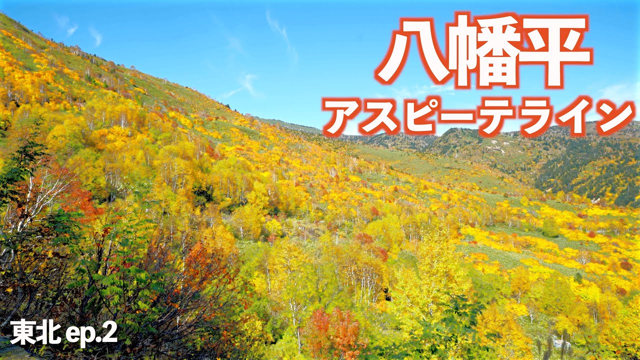 秋の紅葉ドライブ!!ピークの八幡平は想像以上だった!!｜八幡平アスピーテライン｜八幡平大沼｜紅葉｜ドライブ｜田舎暮らし｜岩手県｜秋田県｜4K