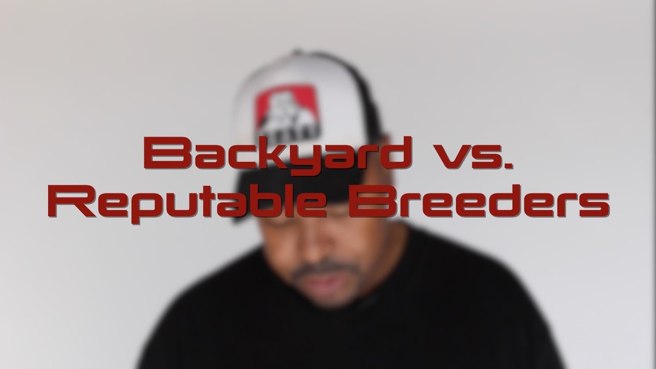 FIXING THE BACKYARD BREEDER PROBLEM