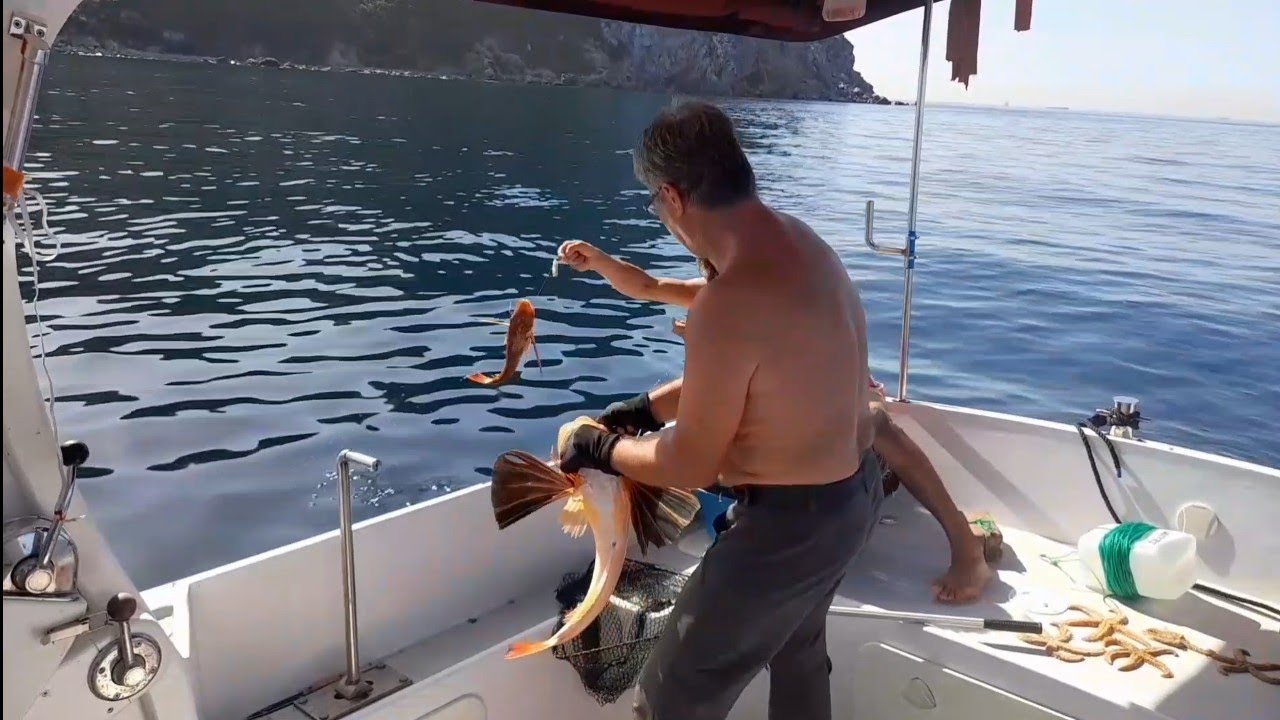 5 ÇEŞİT BALIK YAKALADIK , BİR GECE SİVRİ ADADA KONAKLADIK.