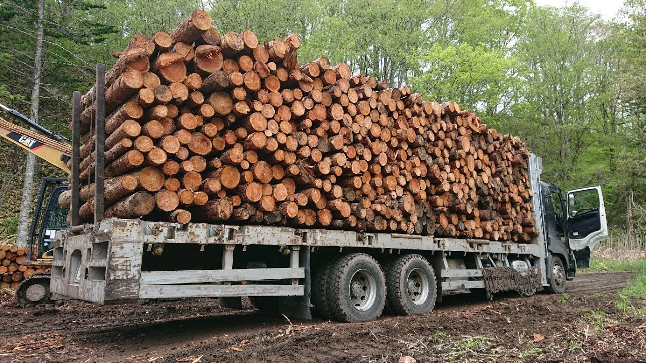 一般の人が知らない積み荷の下ろし方   #トラック #重機