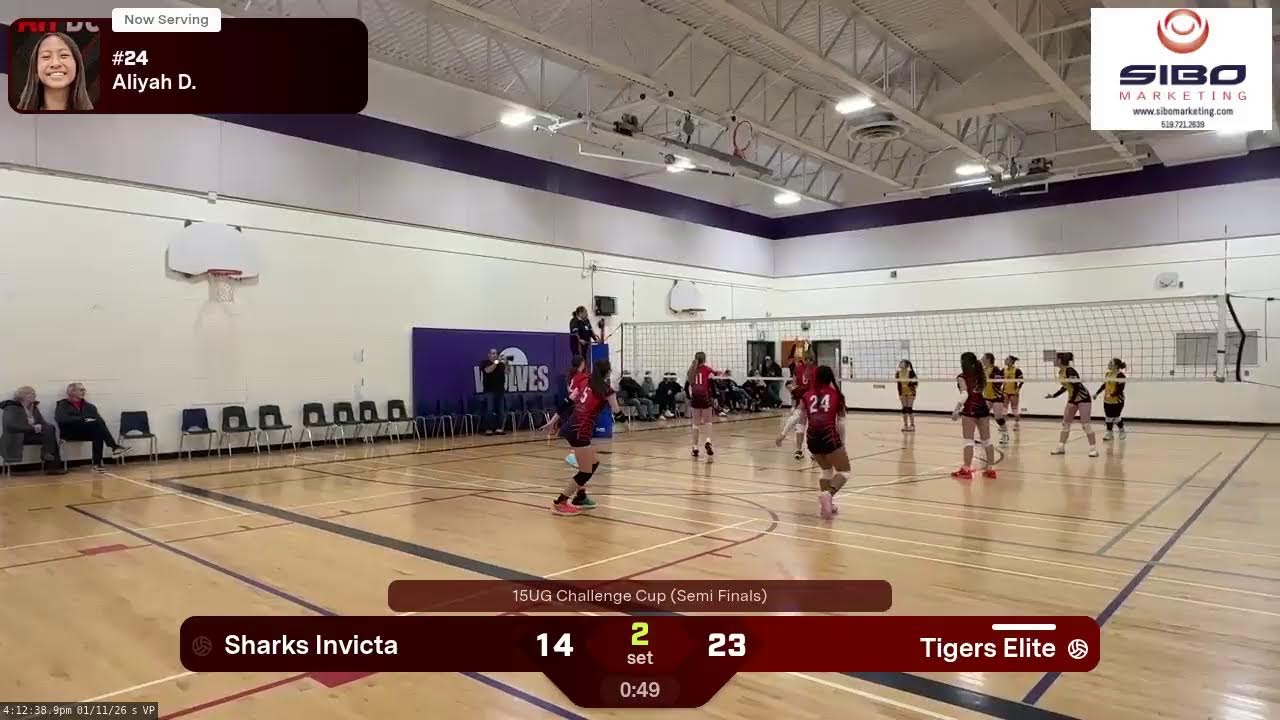 Waterloo Tigers Elite vs. London Sharks Invicta (U15G Challenge Cup Semi Finals)