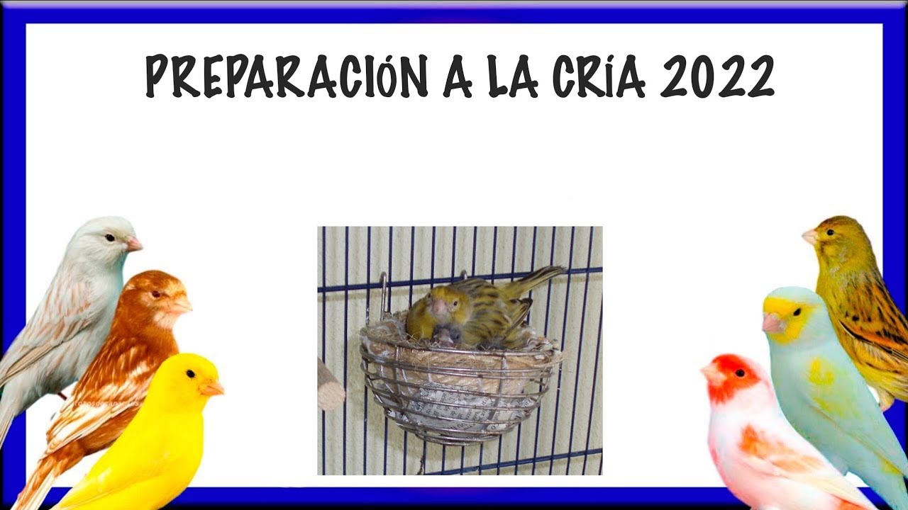 PREPARACIÓN A LA CRÍA 2022 | PARTE 1