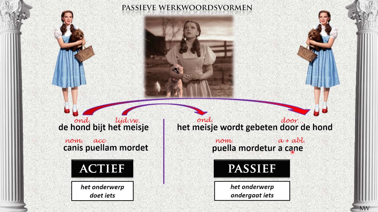 passivum -Latijn van Magister Weel deel 33