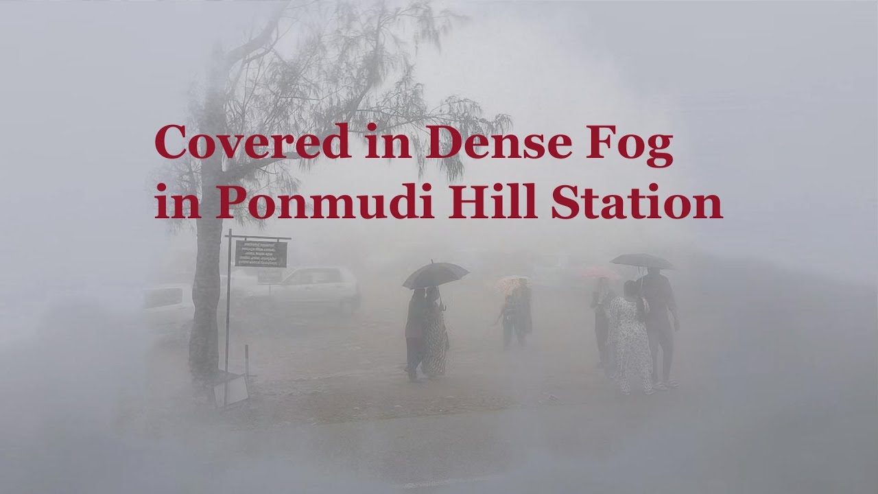 Dense Fog at Ponmudi Hill Station | Real Kerala Hill-Weather Moments