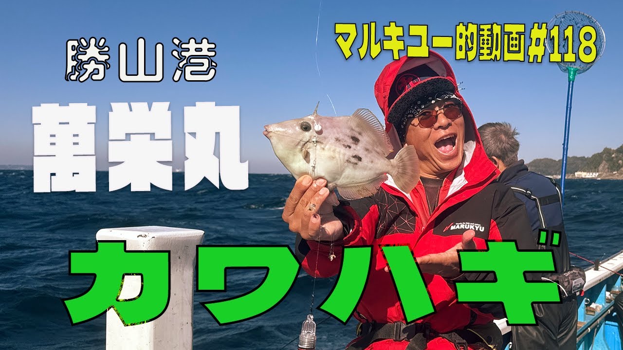 連チャンで釣る！ カワハギ 勝山港 萬栄丸＃118マルキユー的動画