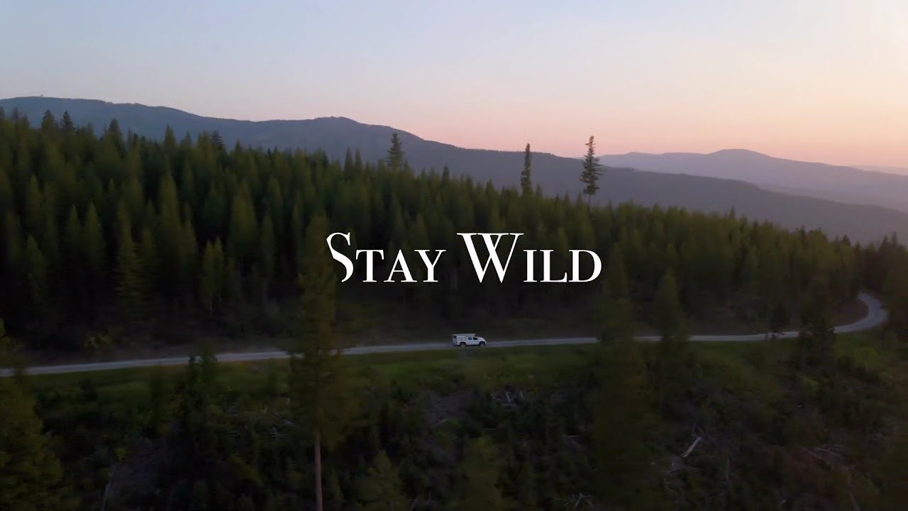 Rising Wolf || STAY WILD || A Montana Drone Adventure