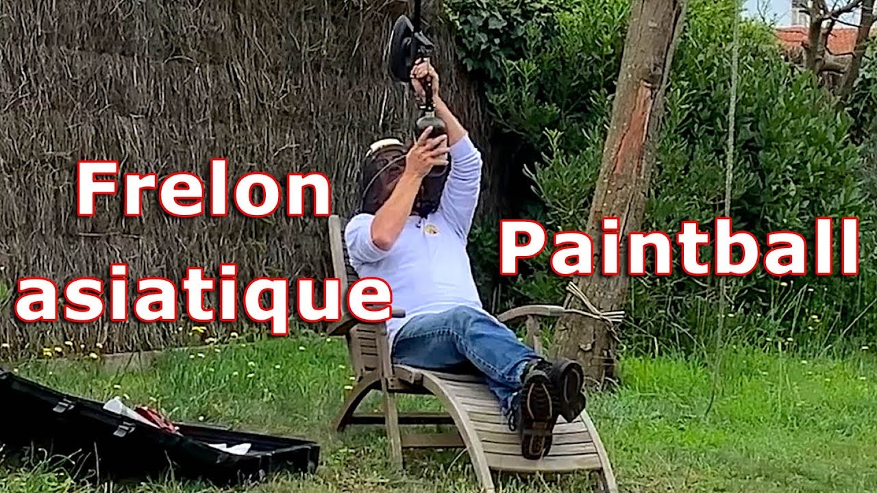 Paintball et frelon asiatique - Des interventions de tireur d’élite # 1