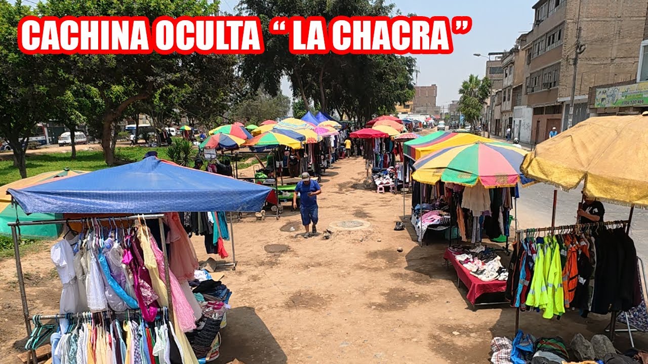 Encontramos una Nueva Cachina |@Jam Mar