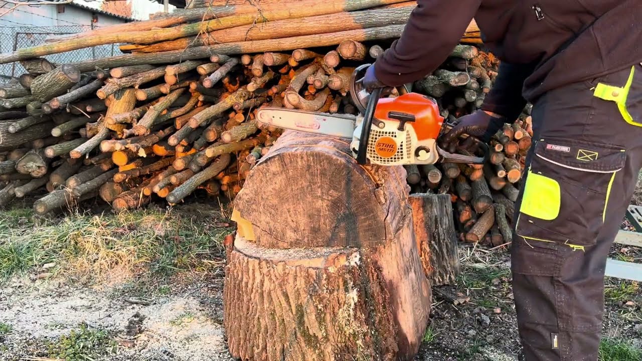 Stihl ms 171