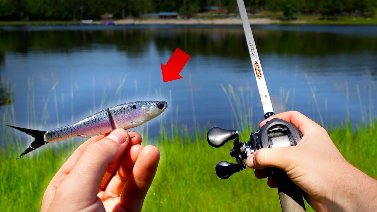 This $5 Bait is a Game Changer