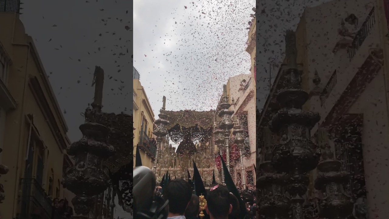 Petaladas a la Virgen de la Esperanza Macarena en la calle Parras 2017