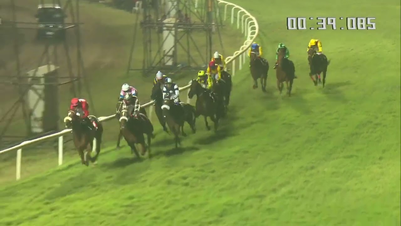 Рэмбо побеждает на аукционе Poonawalla Stud Farms Auction Sale Stakes.