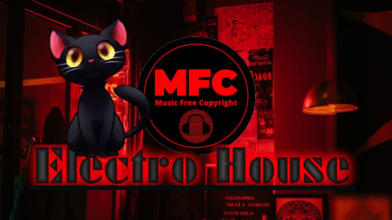 COPYRIGHT FREE Electro House / LiQWYD & Le Gang - Things