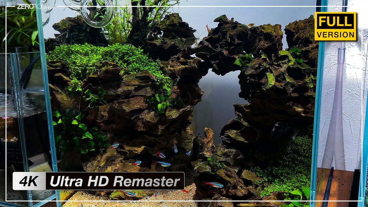 【小さな洞窟】 立ち上げから完成まで - 4K Ultra HD Remaster Edition -　/アクアリウム/aquarium/vlog/