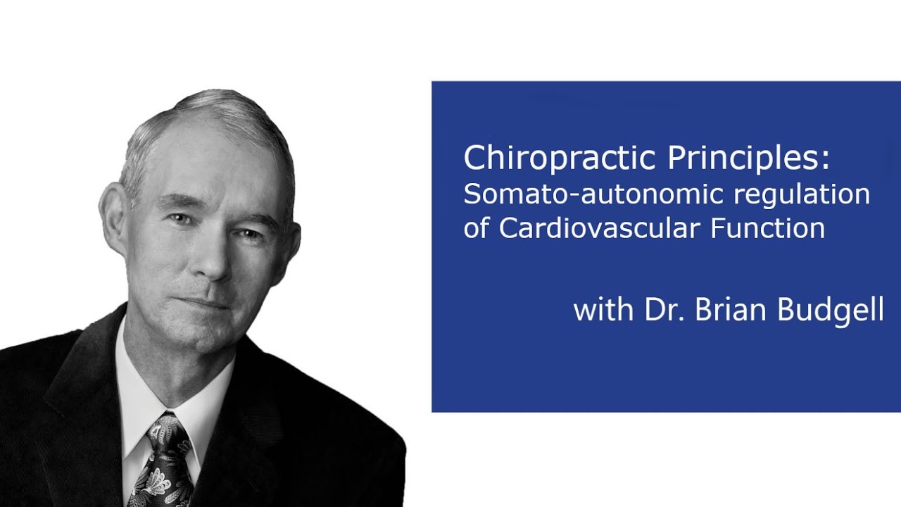 Somato Autonomic Regulation of Cardiovascular Function Part 1   the innate rhythmicity of the heart