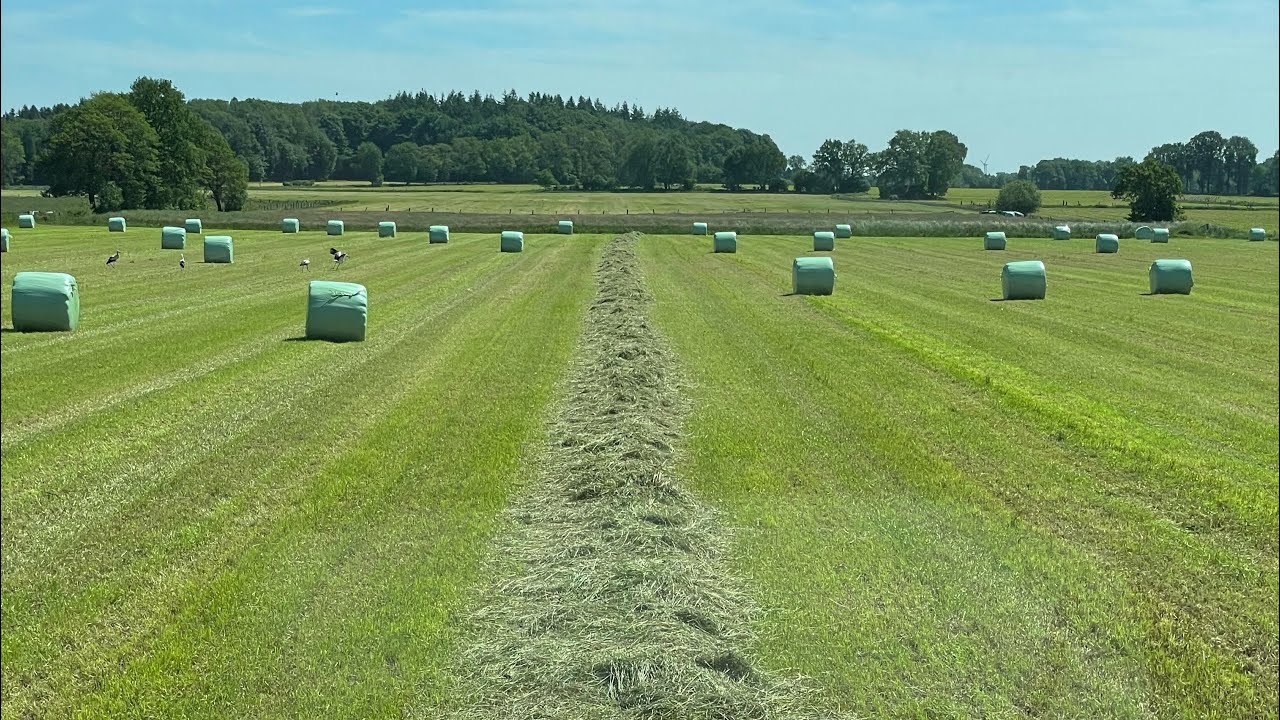 POV / Deutz 7250 TTV mit Krone Comprima Xtreme auf dem Moor
