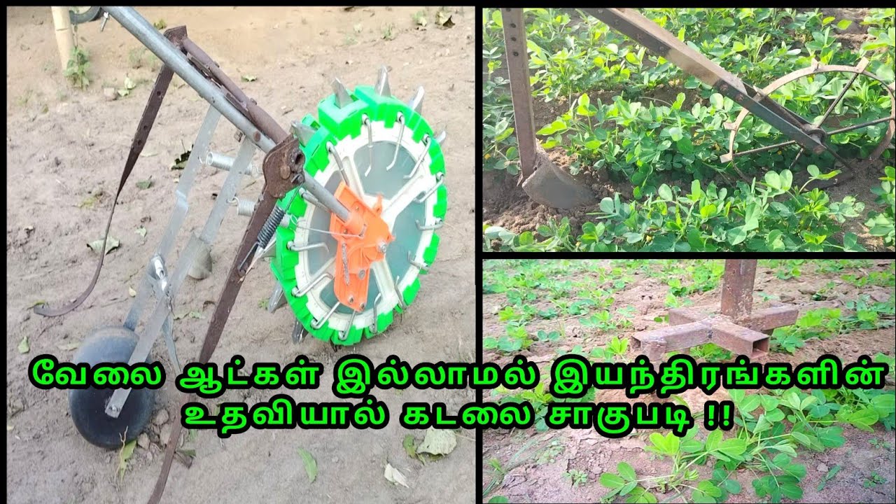 நவீன இயந்திரத்தில் கடலை பயிரிடுதல் மற்றும் களை எடுத்தல்  |Groundnut Cropping Using Modern Equipments