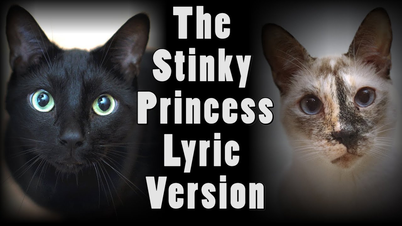 The Stinky Princess - Cat Song (Official Music Video) - Lyric Video