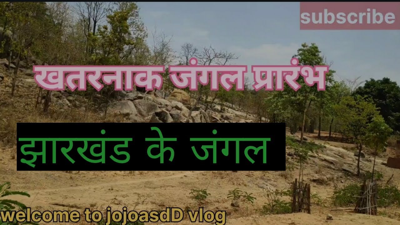 झारखंड के जंगल # सिमडेगा से ओडिशा बॉर्डर # जंगल के खतरनाक जानवर ब्लॉग #वीराना गांव