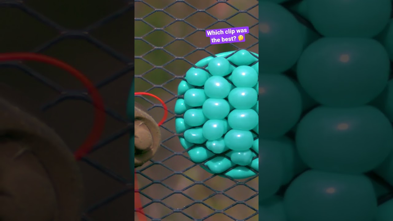 Water balloons being ridiculously satisfying 😊