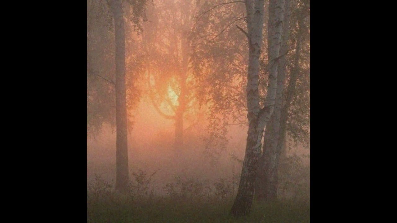 [FREE] Indie x Bon Iver x Acoustic Folk type beat - 