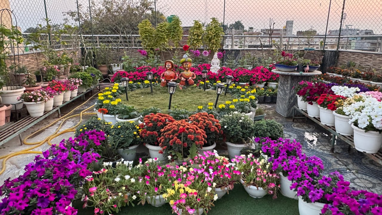Sunday garden update || rooftop garden overview 