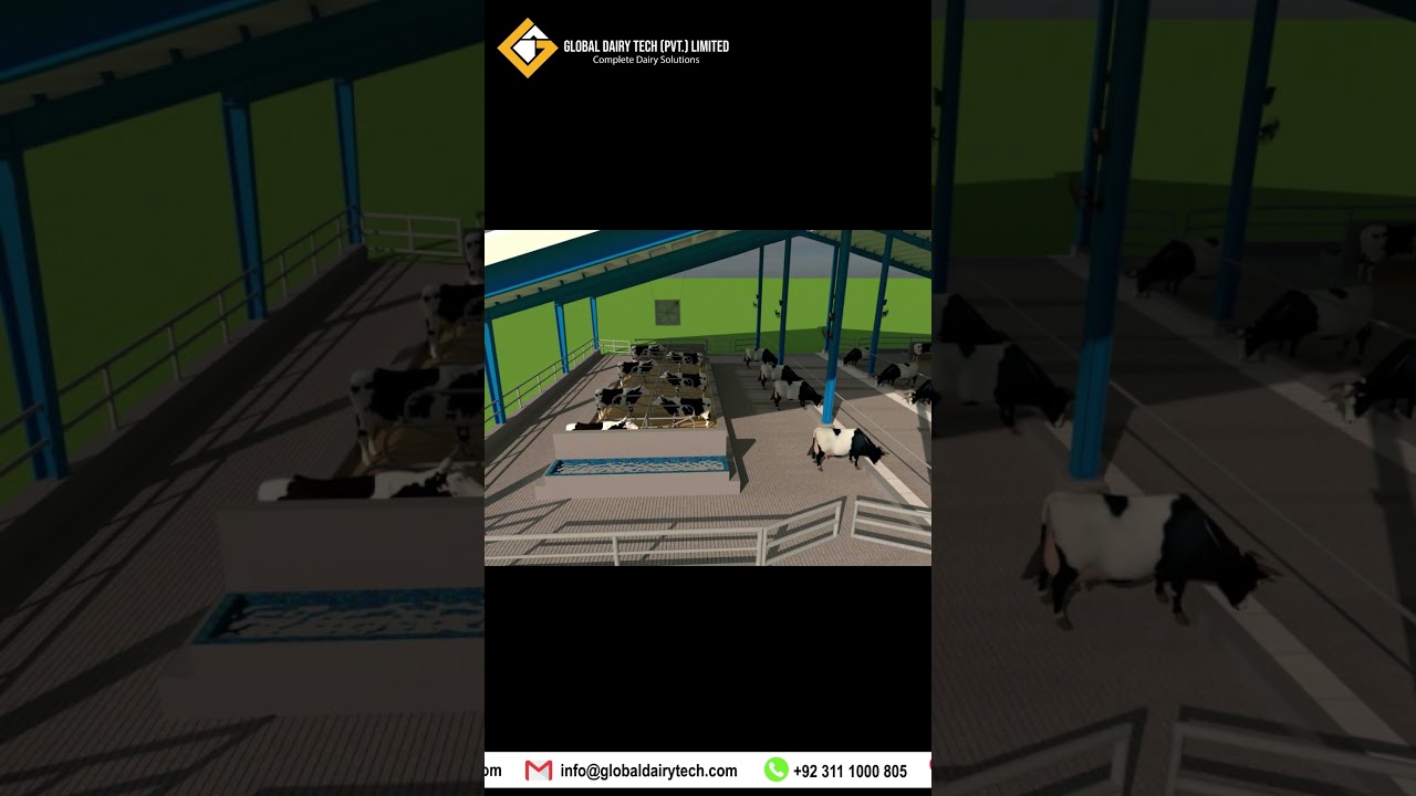 50 Cows dairy farm shed 3d model by Global dairy tech #dairyfarm #shorts #cow