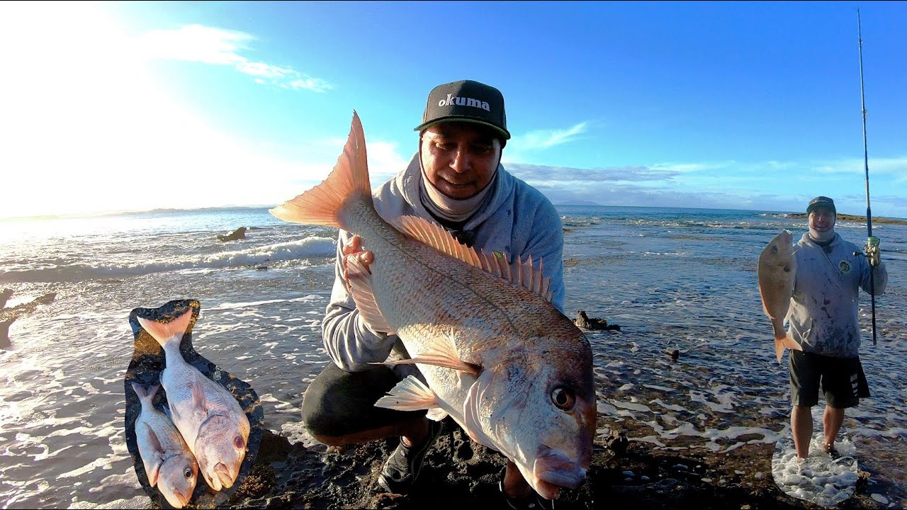 Catching a big snapper from the bricks (Part 2) back down the local for redemption