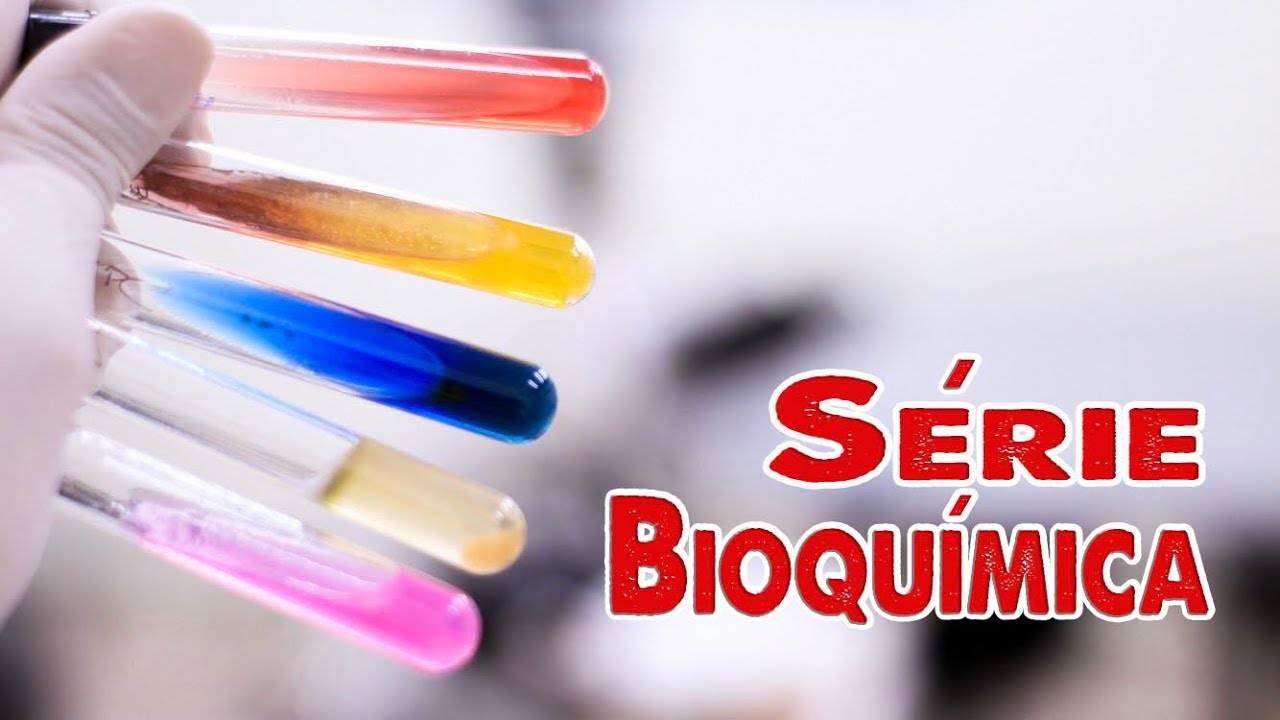 Identifica&ccedil;&atilde;o de Enterobact&eacute;rias com S&eacute;rie Bioqu&iacute;mica