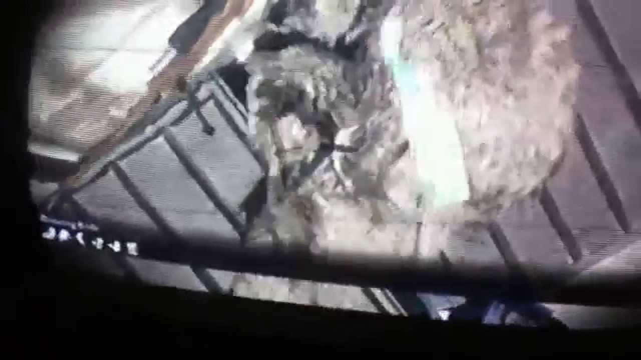 Octane cod ghost back board throwing knife