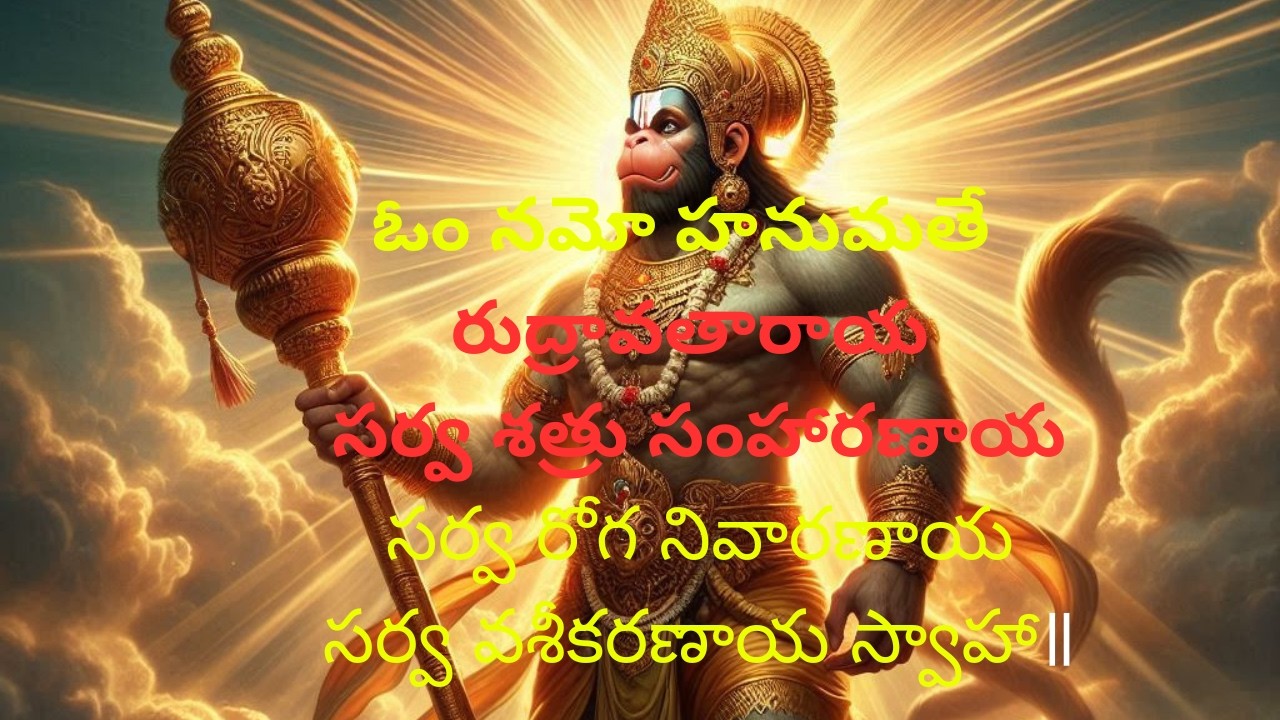 ఓం నమో హనుమతే రుద్రావతారాయసర్వ శత్రు సంహారణాయసర్వ రోగ నివారణాయ సర్వ వశీకరణాయ స్వాహా॥